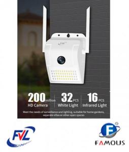 Fv-D6 Wall Lamp Camera