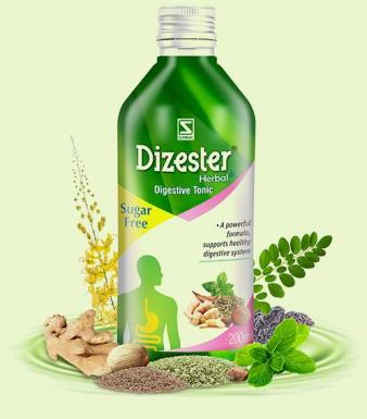 Dizester Herbal Digestive Tonic - Dr. Willmar Schwabe