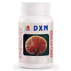 DXN Reishilium Powder - Product of Mushroom | 70 g