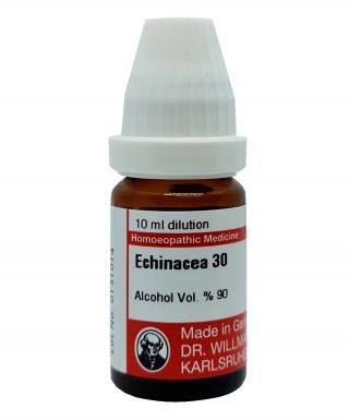 Echinacea 3X - CM
