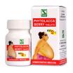 PHYTOLACCA BERRY TABLETS FAT2FIT