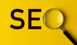 Monthly Local SEO Service Provider in Bangladesh