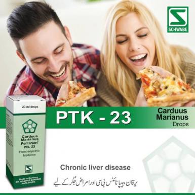 Carduus marianus Pentarkan® Ptk. 23 - দীর্ঘস্থায়ী লিভার রোগ ও হেপাটাইটিস বি