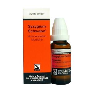 Type 2 Diabetic Control Homeopathic Medicine Syzygium by Schwabe Germany