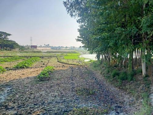 Dhaka-Mawa Road Land Share - 5 - 20 Khata