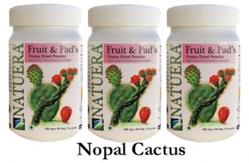 Nopal Prickly Pear Cactus