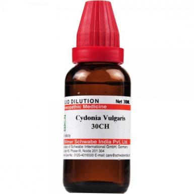 Cydonia Vulgaris 30 CH 30ml - ইরেক্টাইল ডিসফাংশন, অকাল বীর্যপাত, ছোট লিঙ্গ, প্রোস্টেটের অভিযোগে কার্যকরী