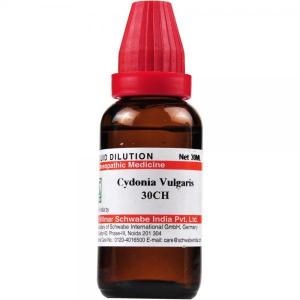 Cydonia Vulgaris 30 CH 30ml - ইরেক্টাইল ডিসফাংশন, অকাল ব