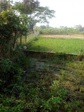 গাজীপুর সদরে ১০.৫ শতাংশ জমি বিক্রি হবে