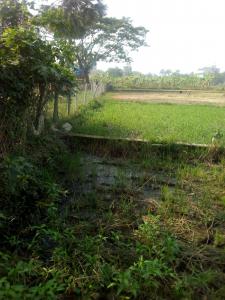 গাজীপুর সদরে ১০.৫ শতাংশ জমি বিক্রি হবে